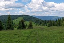 Turbacz